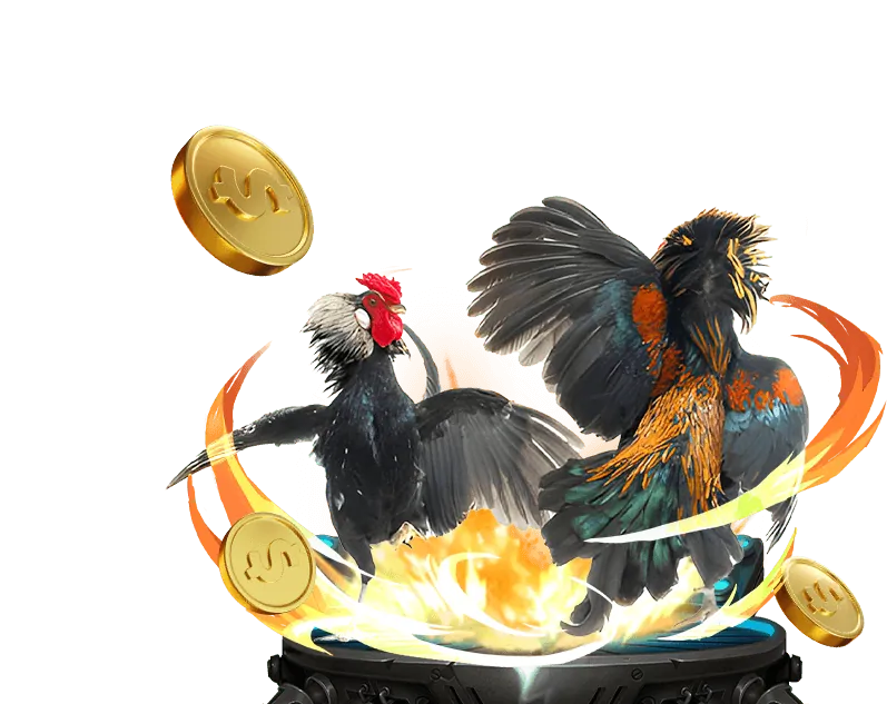 Cá cược trực tiếp bóng đá